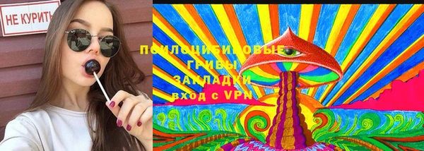 ГАЛЛЮЦИНОГЕННЫЕ ГРИБЫ Алексеевка