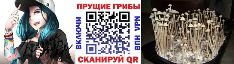 Галлюциногенные грибы Magic Shrooms Кулебаки